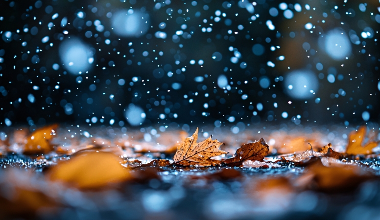 文学｜秋雨之韵