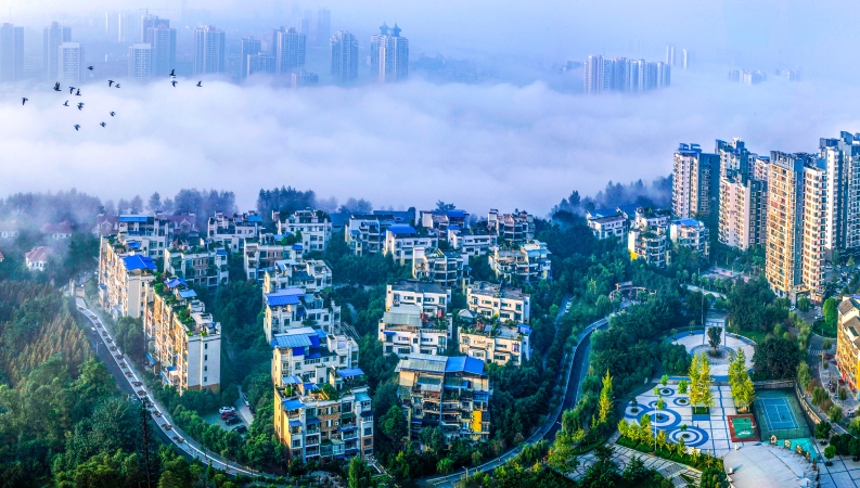 杨毅专栏｜宜居之城