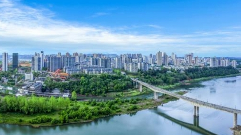 杨莙专栏｜归乡路