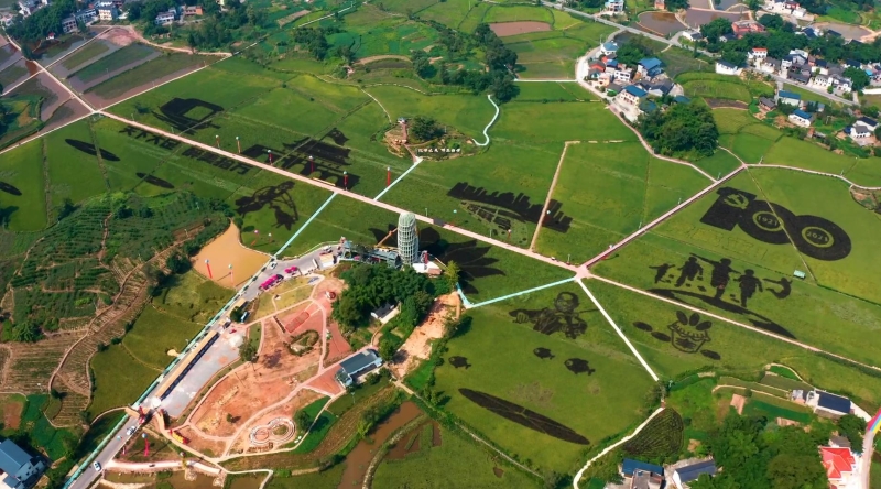 王靖平专栏｜基层走访七律三首