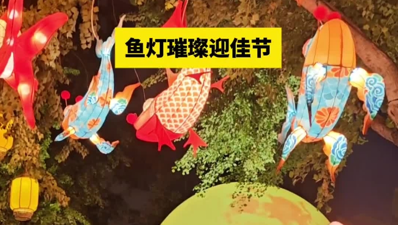 鱼灯璀璨迎佳节