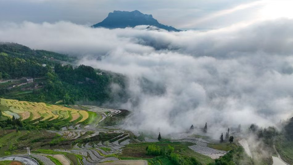 文学 | 浓雾漫过千氹田（组诗）
