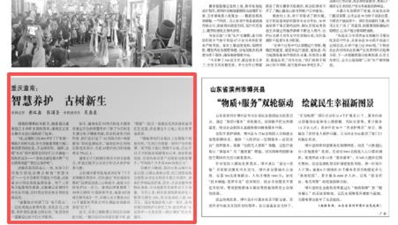 光明日报看重庆｜潼南：智慧养护 古树新生