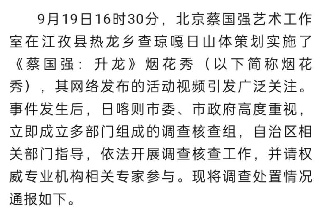 官方通报“蔡国强烟花秀”事件调查处置情况