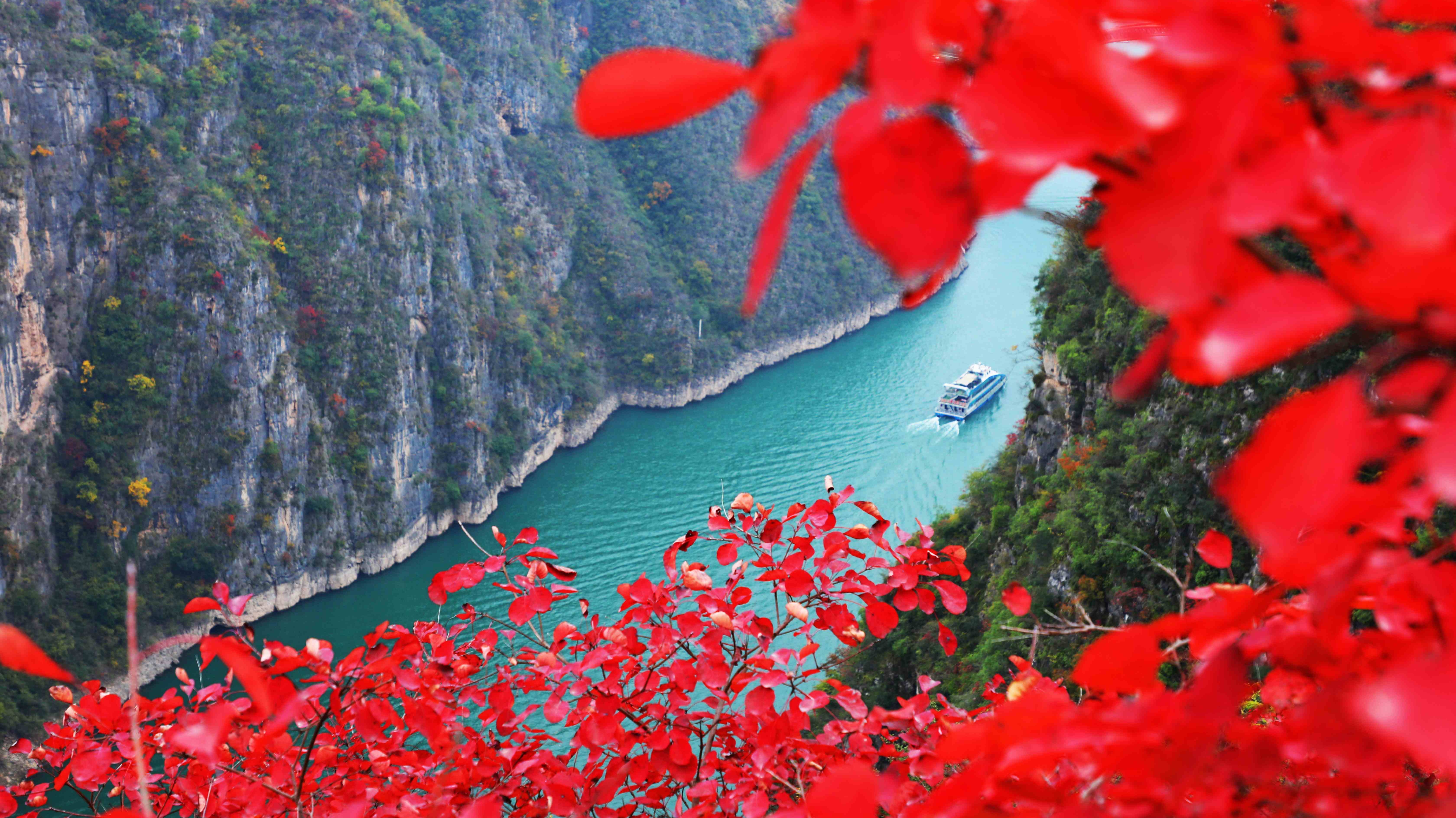 何以重庆丨巫山：等到满山红叶时