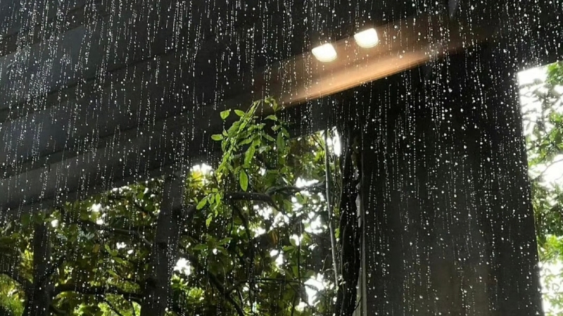 黄晓芳专栏｜赏秋雨