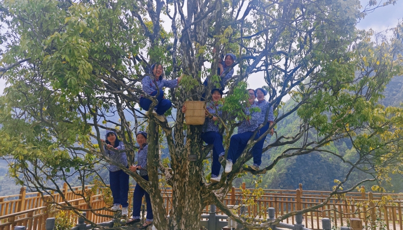 重庆：唤醒乡村“沉睡”的文化资源