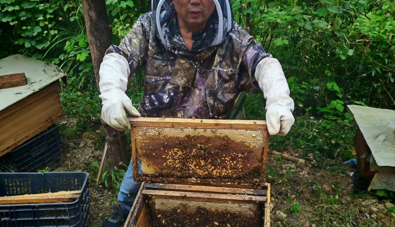 七一文学｜甜蜜的事业