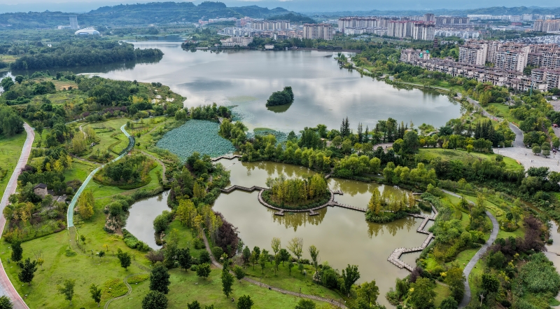 十四五“1”主题海报⑧｜一“数”当先，智慧农业赋能乡村振兴