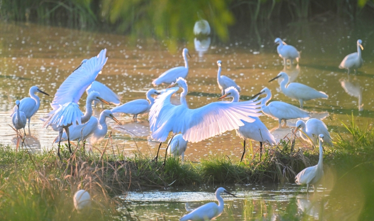 七一时评｜党员干部要守好“四慎”关 答好作风卷
