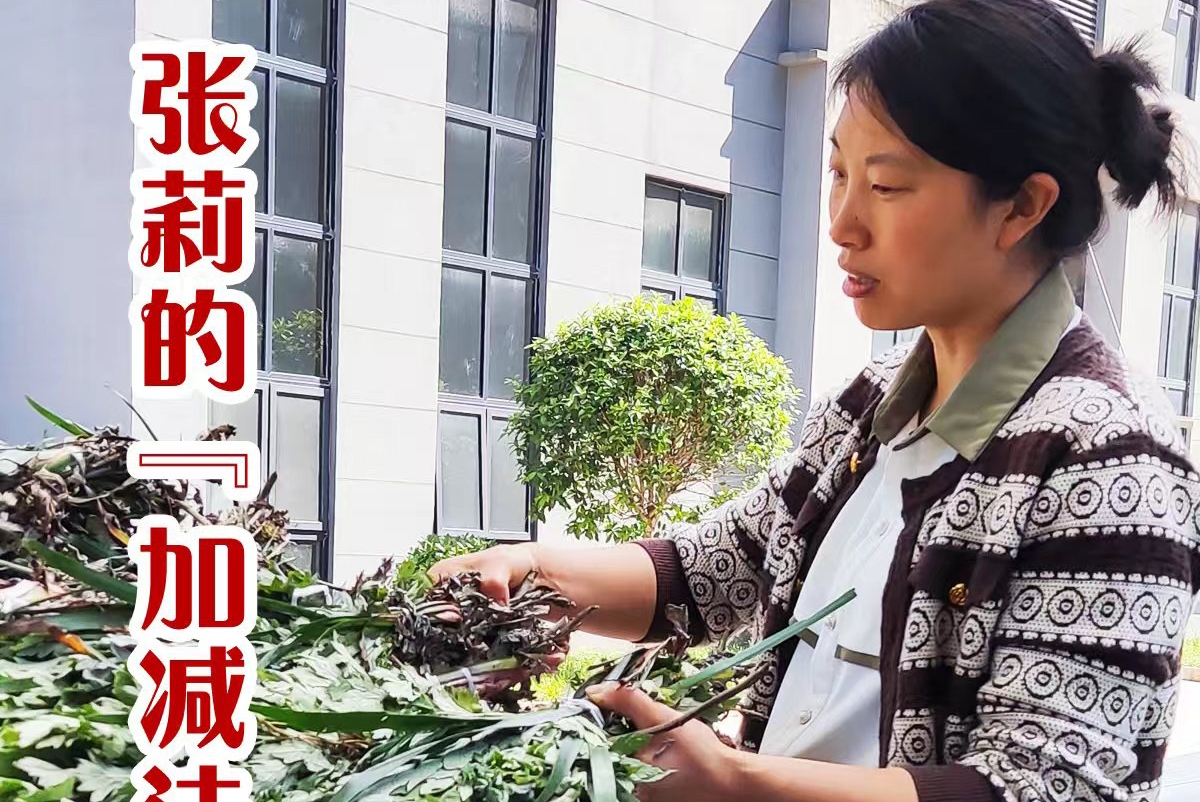 “十四五”烟火重庆推介海报② |园区员工张莉的“通勤账本”