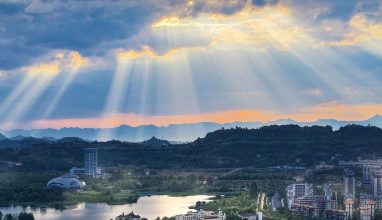 余先怀专栏｜湿地光韵