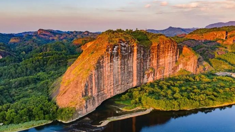 杨莙专栏｜五桂山，金丝楠木成林