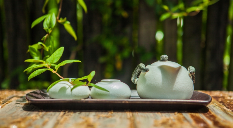 文学｜晨窗常伴茶香暖