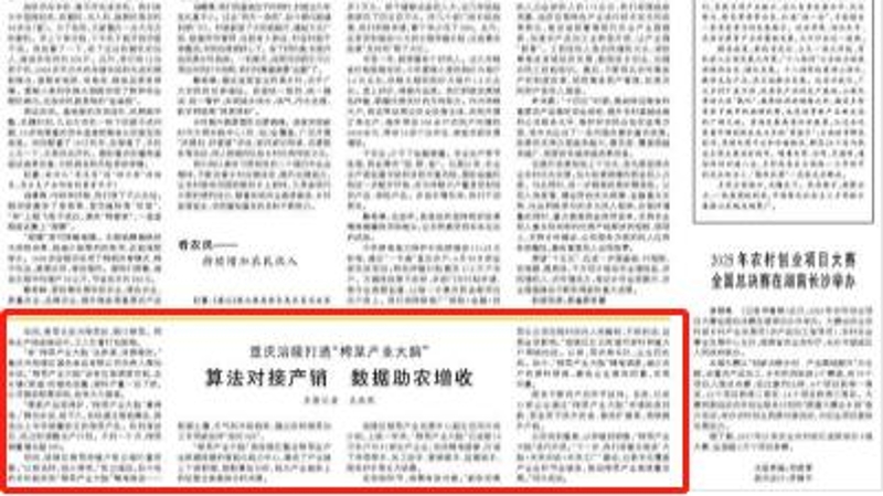 人民日报看重庆｜涪陵：算法对接产销 数据助农增收