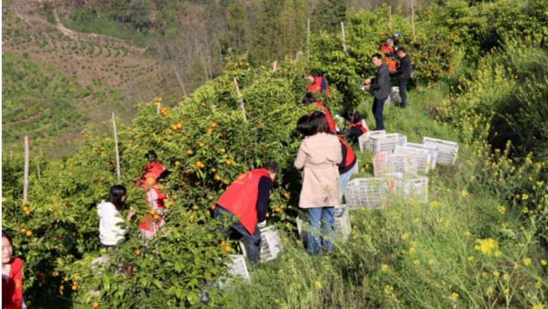 重庆云阳平安镇：“三心”共治守护 平安新“枫景”