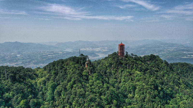 文学丨山城梯坎：一世师生情