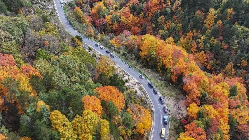 余先怀专栏｜秋染十八月潭