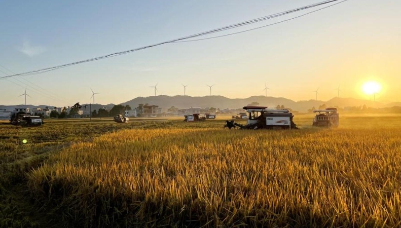 智慧赋能，守护“八桂粮仓”安全底色