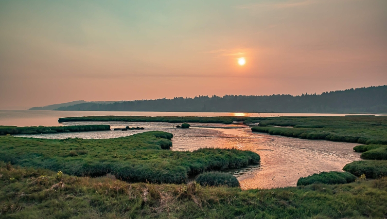 王靖平专栏｜读历代廉洁奉公典范人物故事咏怀④