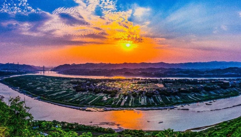 文学｜最美莲开践初心