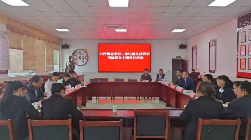 重庆永川朱沱镇：以“党建+联建”激活川渝边界协同发展动能