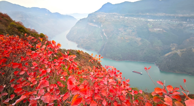 重庆（词四首）