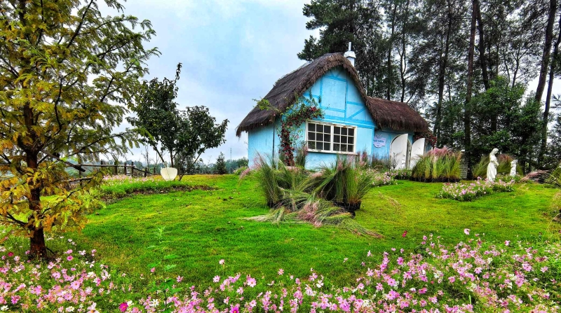 李立峰专栏｜渝州之美，一路向北②春日研学  