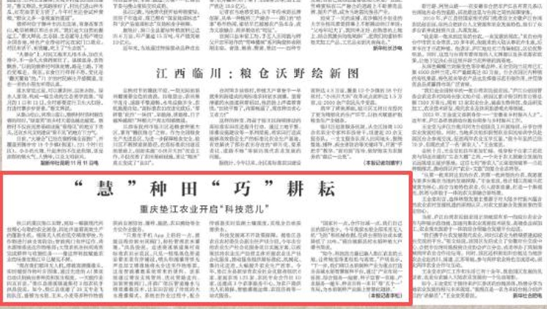 新华每日电讯看重庆｜垫江：“慧”种田“巧”耕耘