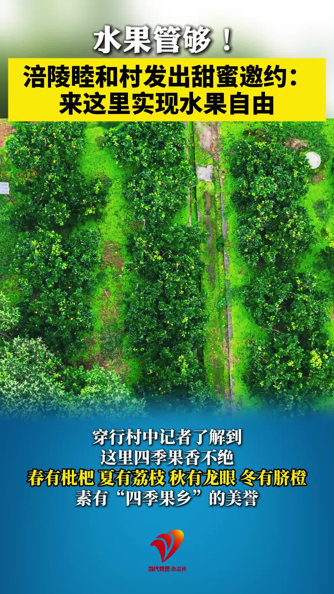 水果管够！涪陵睦和村发出甜蜜邀约：来这里实现水果自由#涪陵睦和村#脐橙#水果