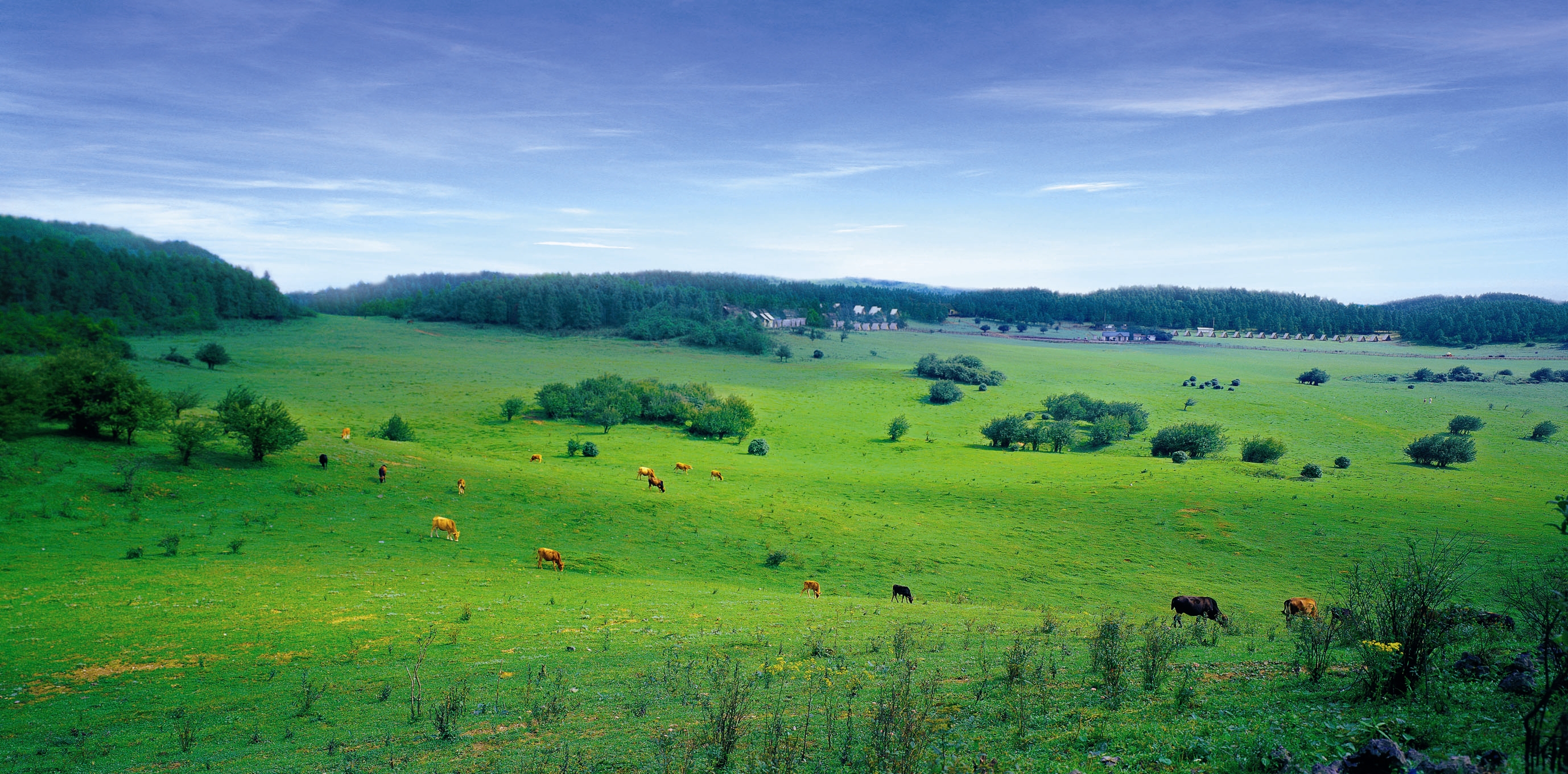 重庆武隆：让绿水青山“动”起来