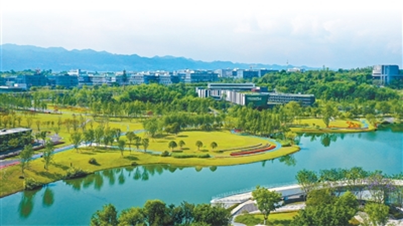 李良清专栏｜两江潮起