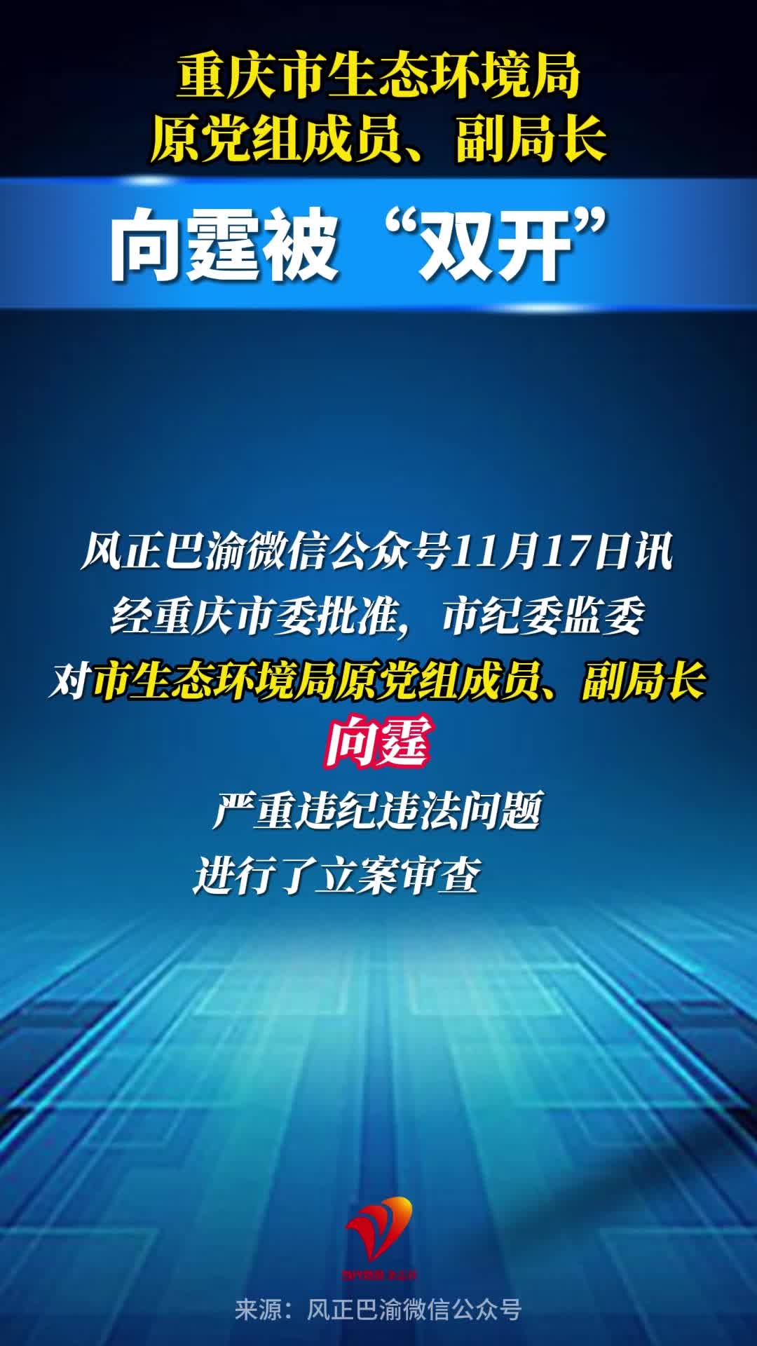 重庆市生态环境局原党组成员、副局长向霆被“双开”