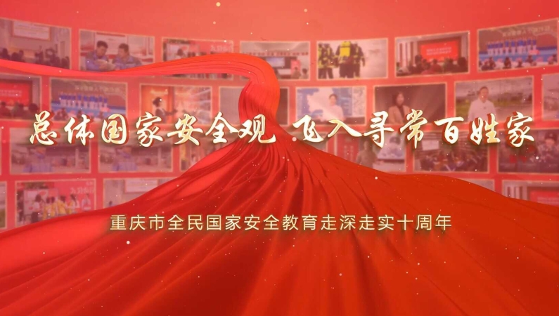 《总体国家安全观 飞入寻常百姓家》①