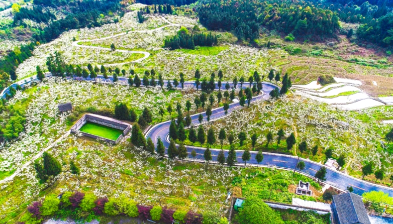 重庆北碚茨竹镇：成渝双城“会客厅”从省界末梢到新区前沿