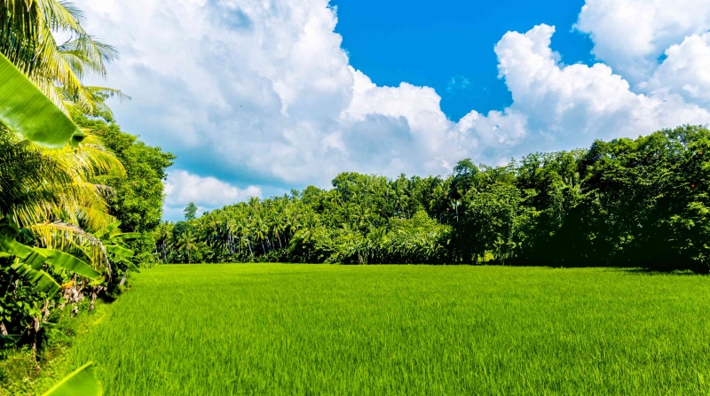 ​王靖平专栏｜历代廉洁奉公典范人物故事咏怀⑥