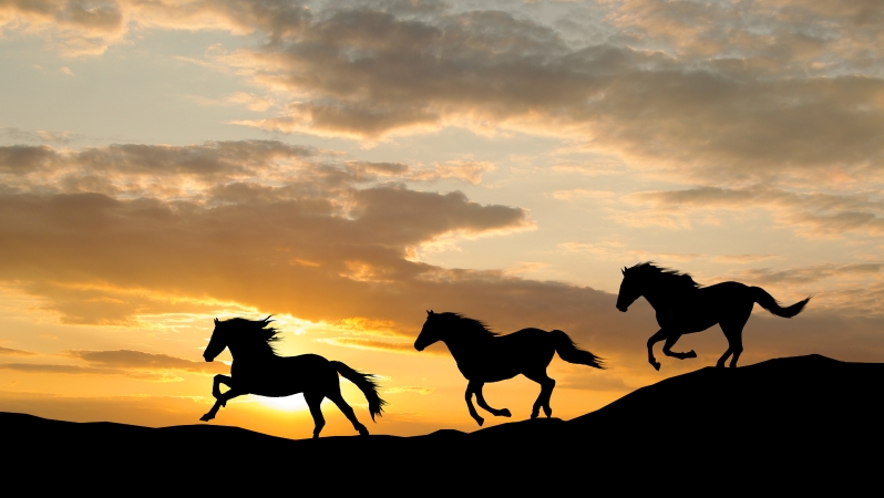 党建如何激活育人“大作为”？这个党支部以“坚强内核”这样作答