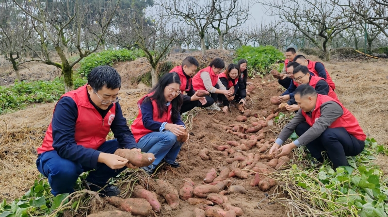 重庆市审计局：志愿服务下一线 精准赋能产业兴