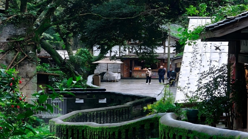 谭德成专栏｜江村