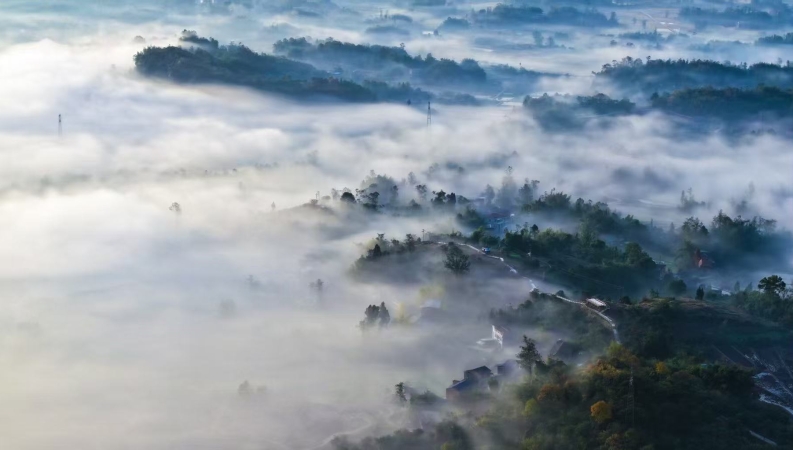 余先怀专栏｜初冬晨雾里的梁平山谷