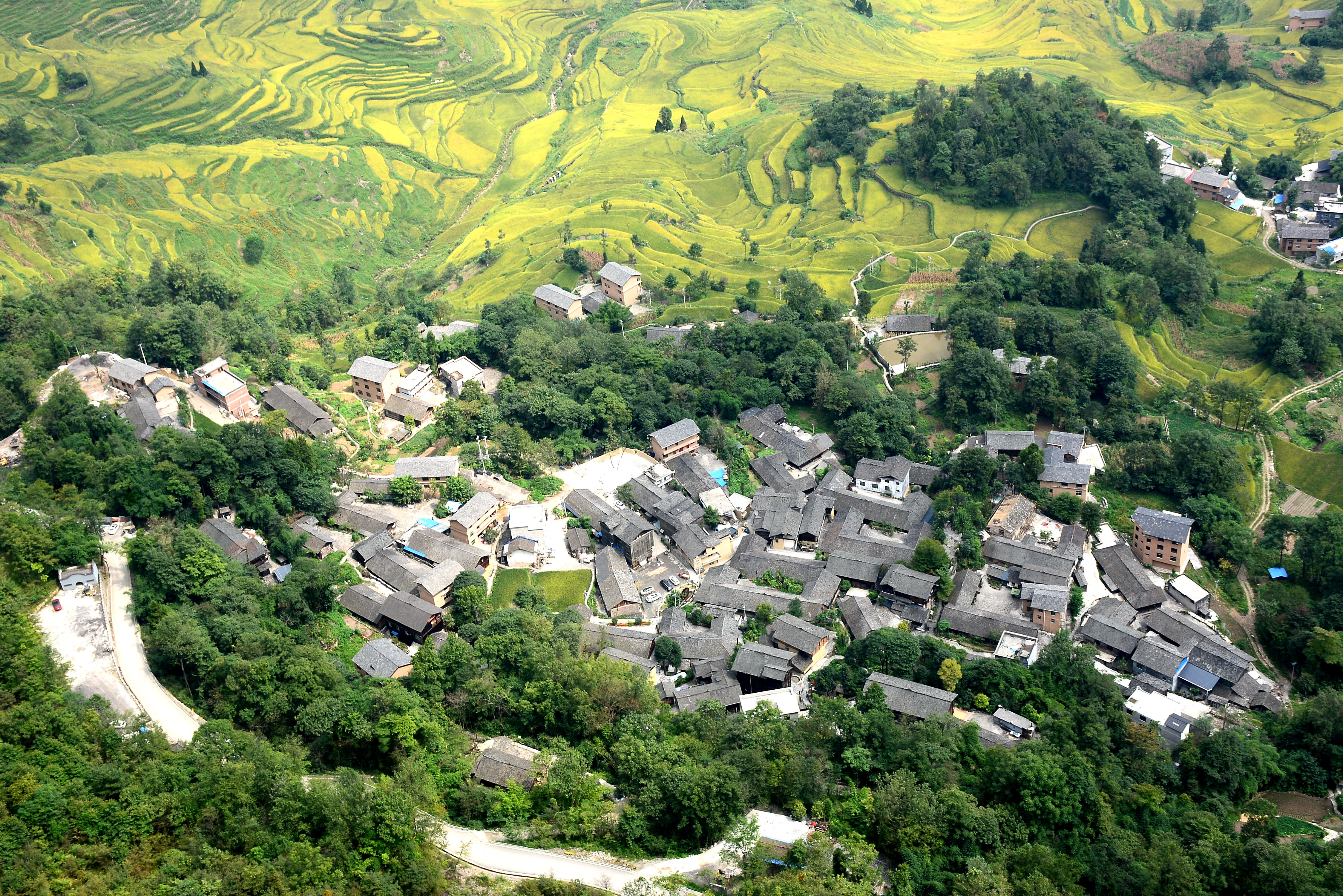 推动市委六届八次全会精神落细落实③｜坚持以人民为中心 稳步迈向共同富裕