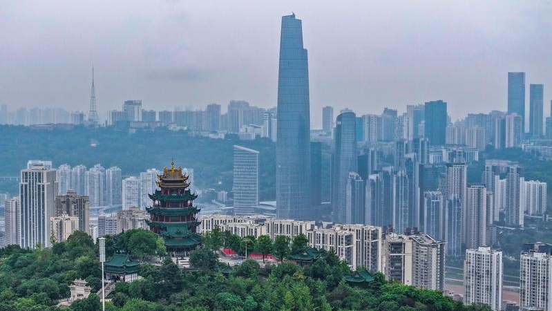 文学｜重阳 “看相” 记