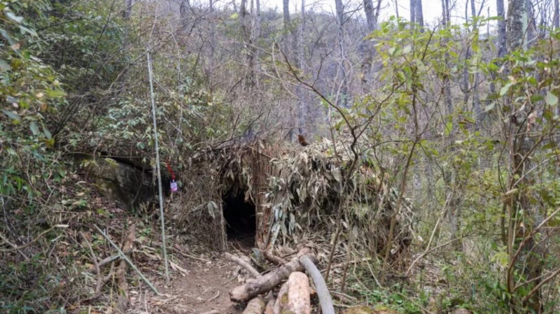 渝西锋光专栏｜发现“野生流量”背后的蓬勃生机
