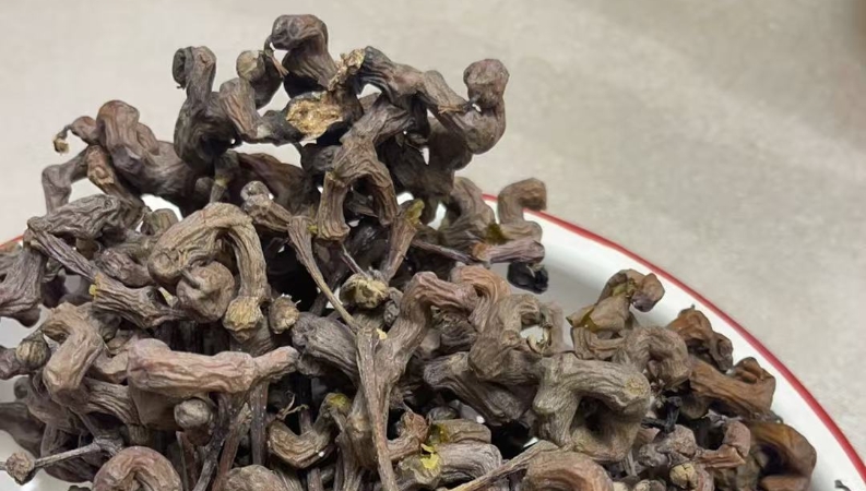 文学｜拐枣的滋味