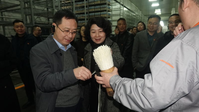 党建引领聚合力 川渝协作促执法