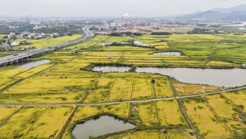 文学｜藏在岁月缝隙里的细微感动