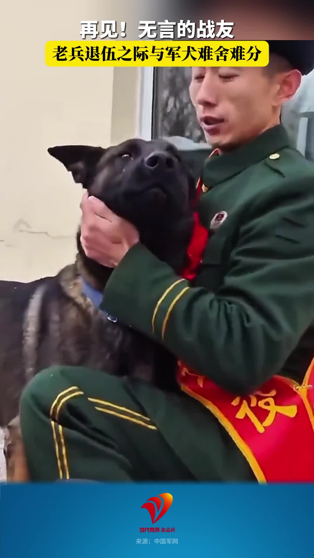 再见！无言的战友！老兵退役之际与军犬难舍难分
