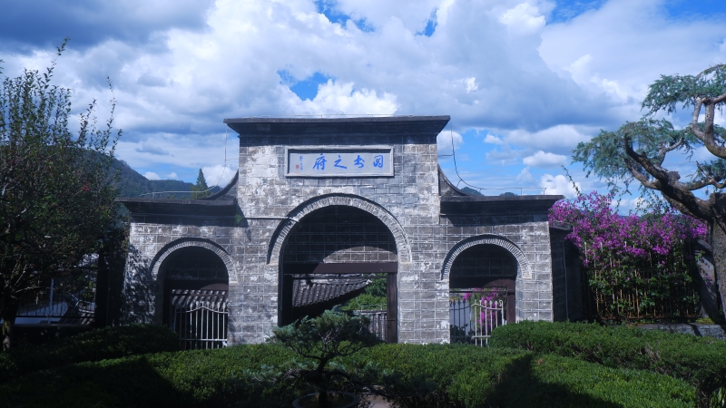 文学｜寻味“大救驾”