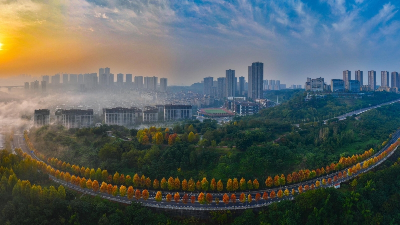 余先怀专栏｜山城雾境