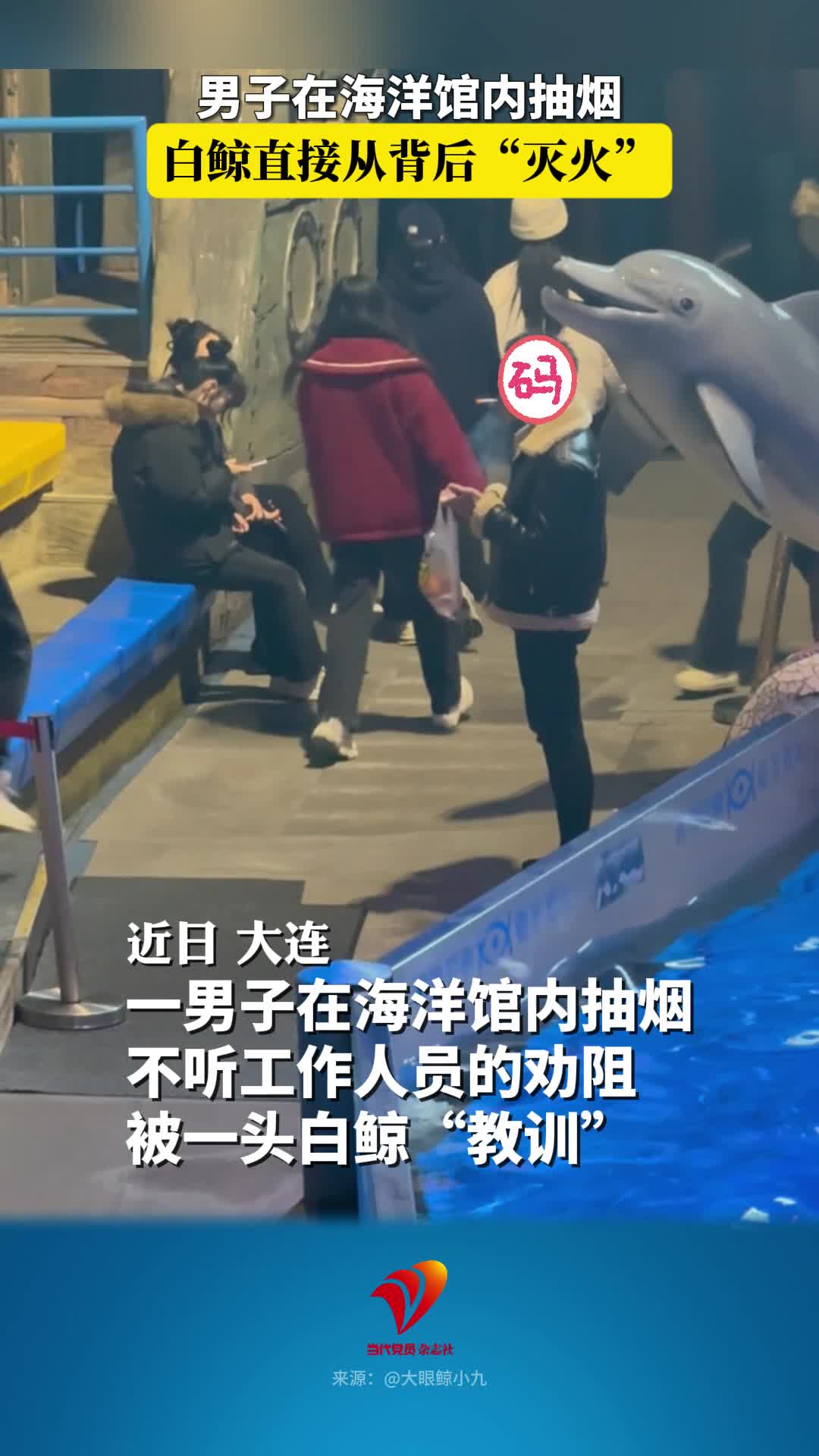 男子在海洋馆内抽烟，白鲸直接从背后“灭火”